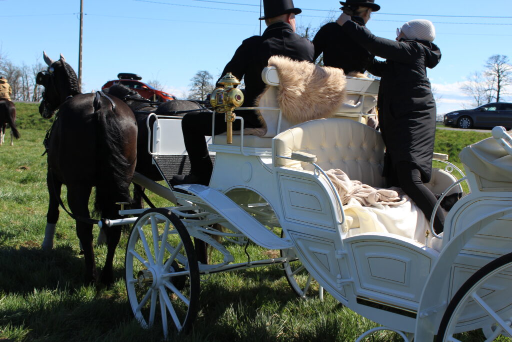 Procesja konna w Pietrowicach Wielkich - 2026 Vlog podróżniczy Steina