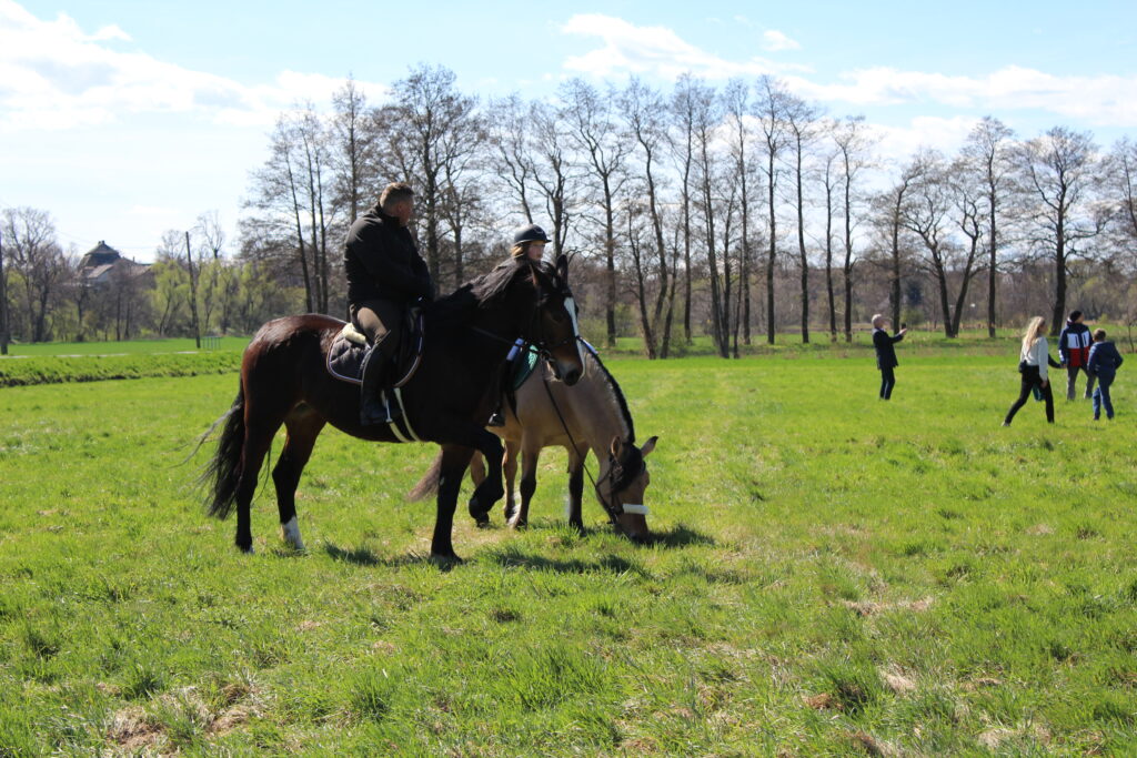 Procesja konna w Pietrowicach Wielkich - 2026 Vlog podróżniczy Steina