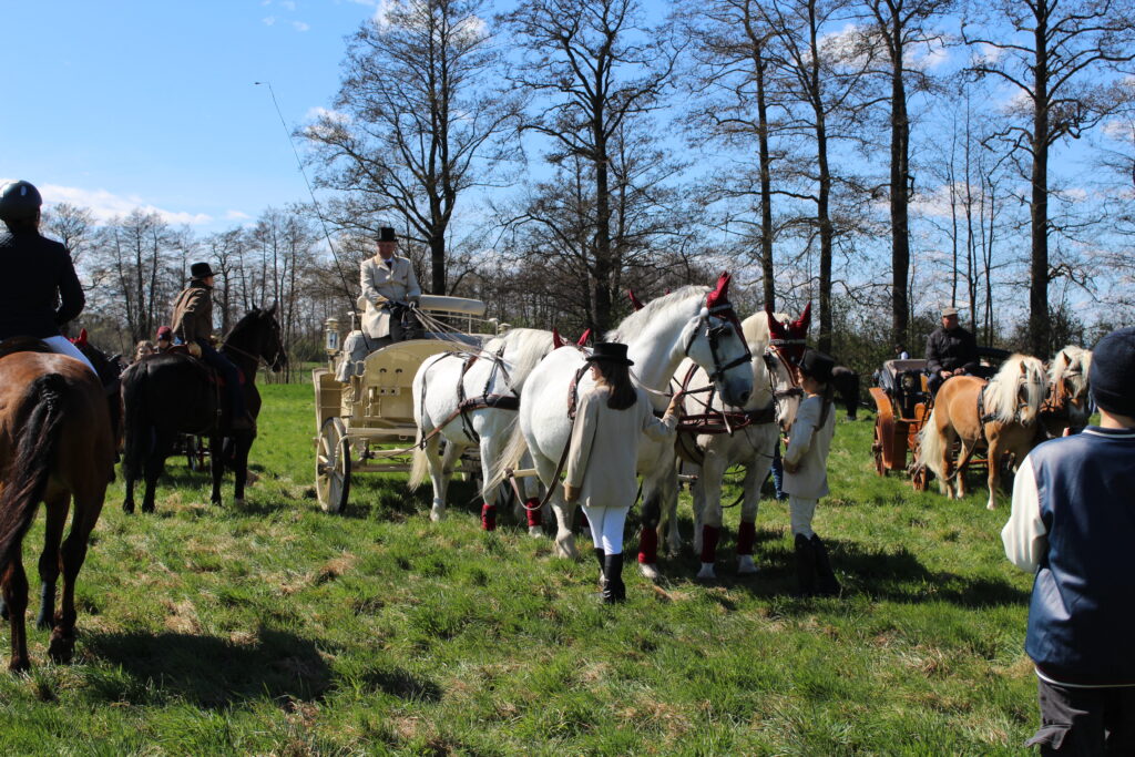 Procesja konna w Pietrowicach Wielkich - 2026 Vlog podróżniczy Steina
