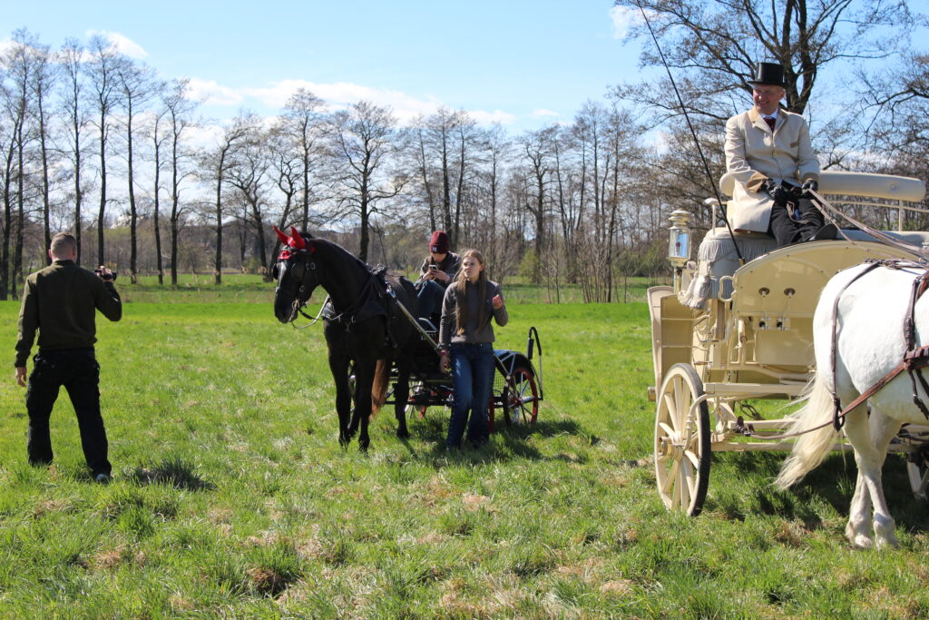 Procesja konna w Pietrowicach Wielkich - 2026 Vlog podróżniczy Steina