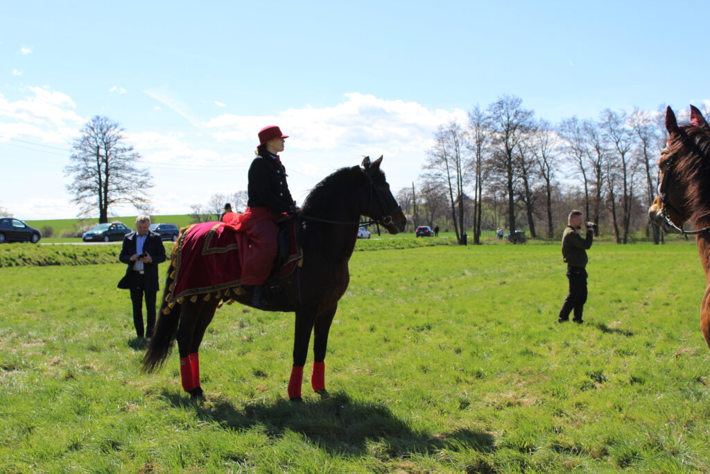 Procesja konna w Pietrowicach Wielkich - 2026 Vlog podróżniczy Steina