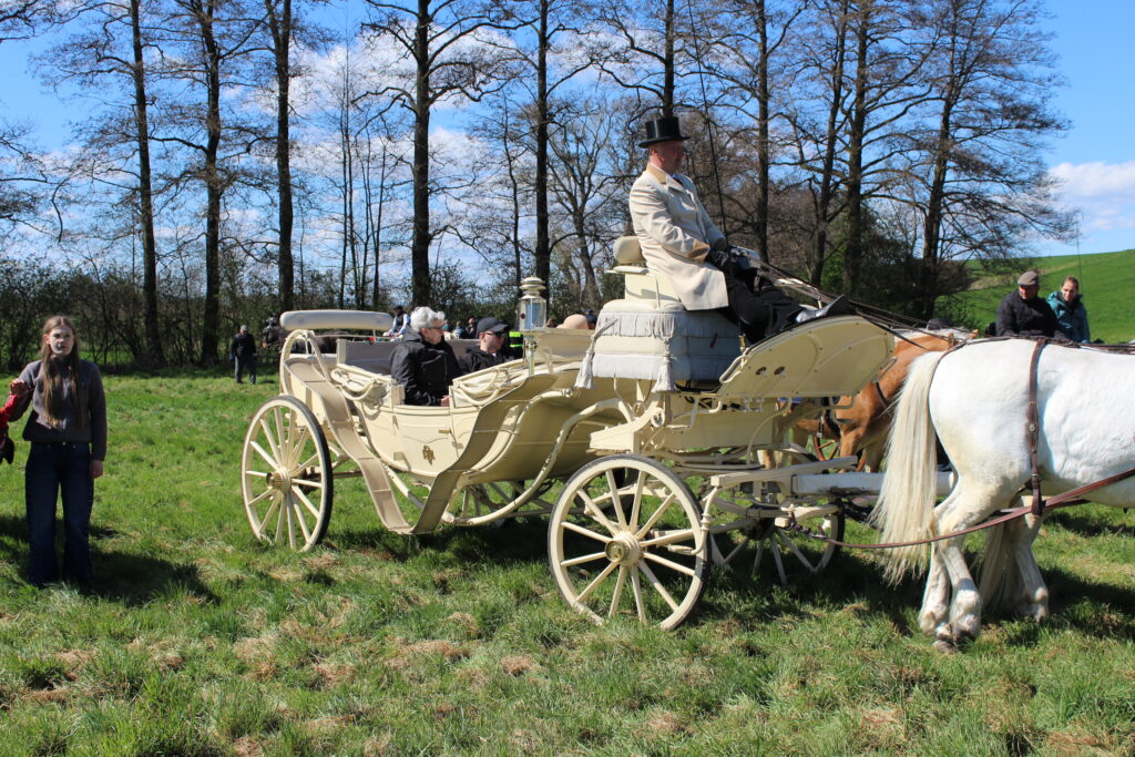 Procesja konna w Pietrowicach Wielkich - 2026 Vlog podróżniczy Steina