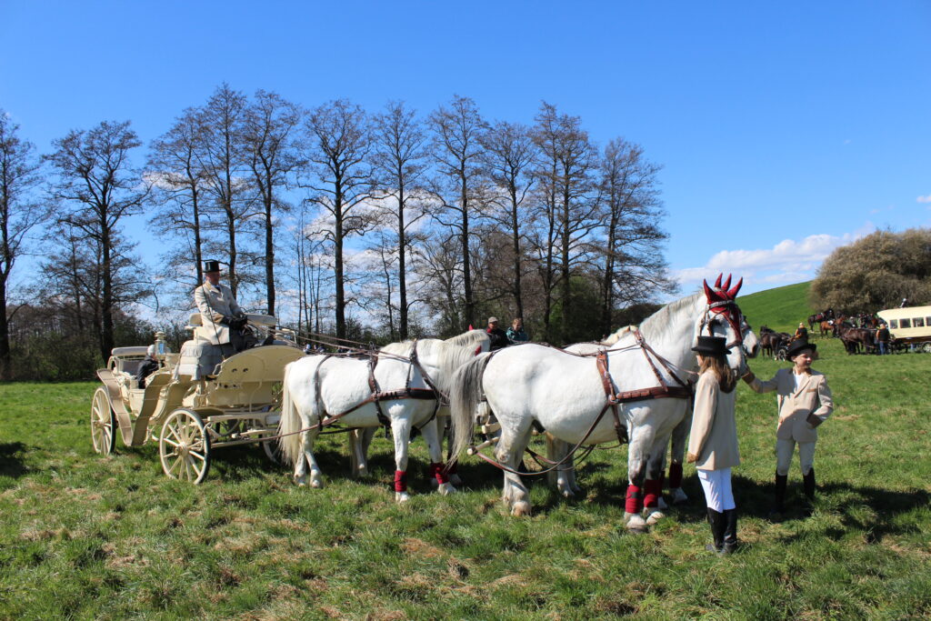 Procesja konna w Pietrowicach Wielkich - 2026 Vlog podróżniczy Steina