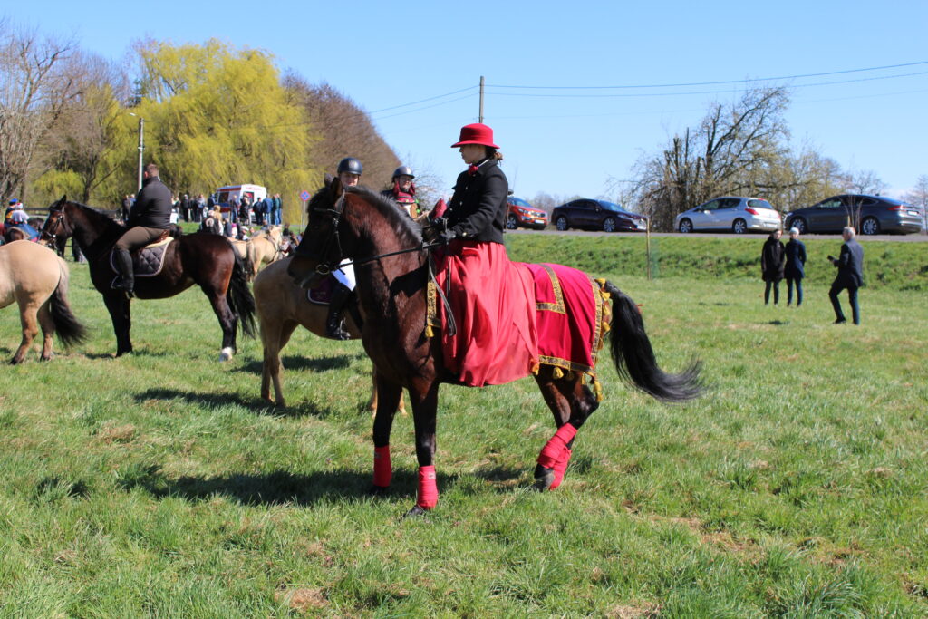 Procesja konna w Pietrowicach Wielkich - 2026 Vlog podróżniczy Steina