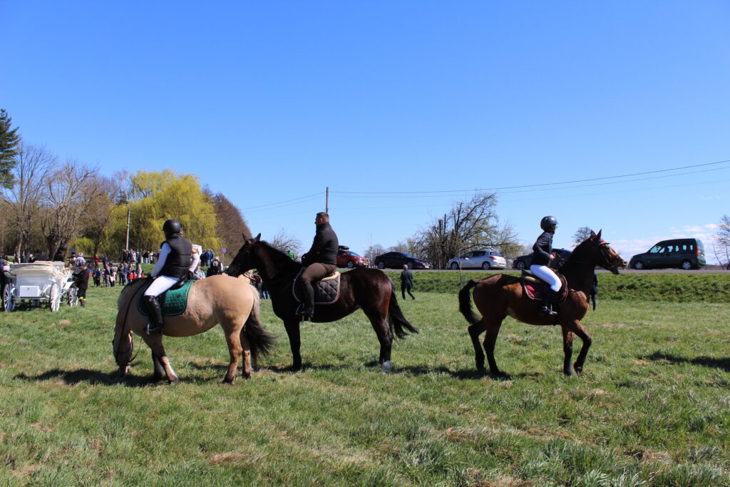 Procesja konna w Pietrowicach Wielkich - 2026 Vlog podróżniczy Steina