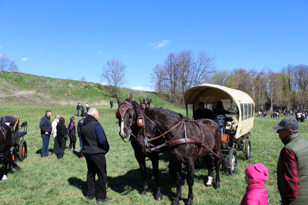 Procesja konna w Pietrowicach Wielkich - 2026 Vlog podróżniczy Steina