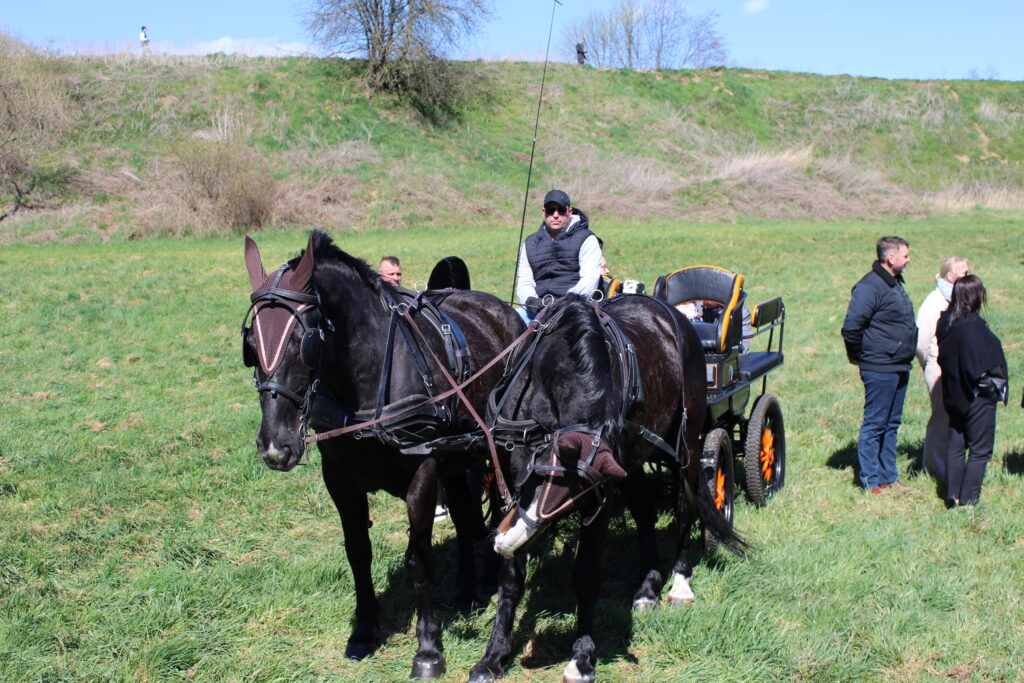 Procesja konna w Pietrowicach Wielkich - 2026 Vlog podróżniczy Steina