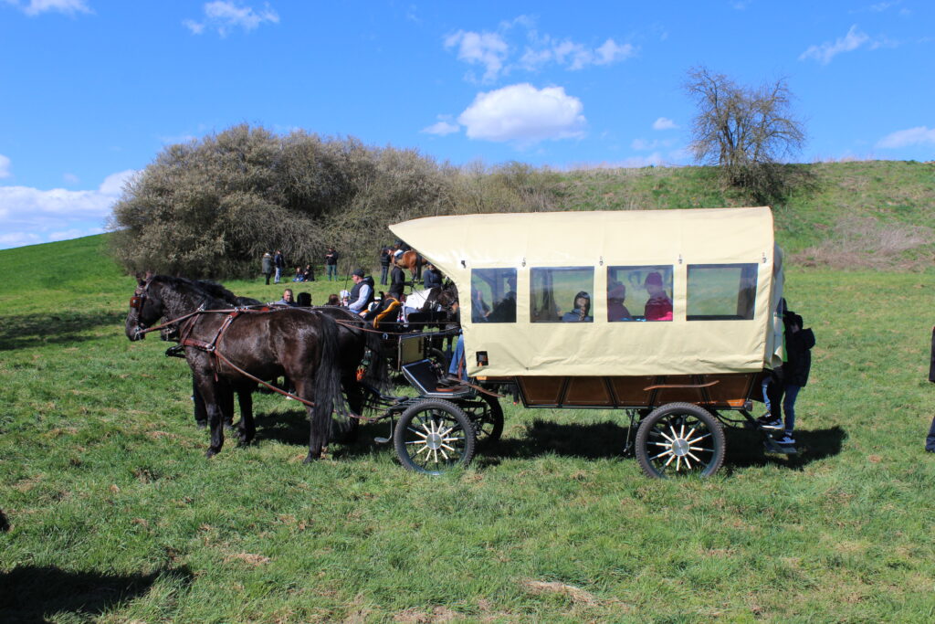 Procesja konna w Pietrowicach Wielkich - 2026 Vlog podróżniczy Steina