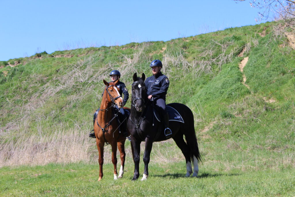 Procesja konna w Pietrowicach Wielkich - 2026 Vlog podróżniczy Steina