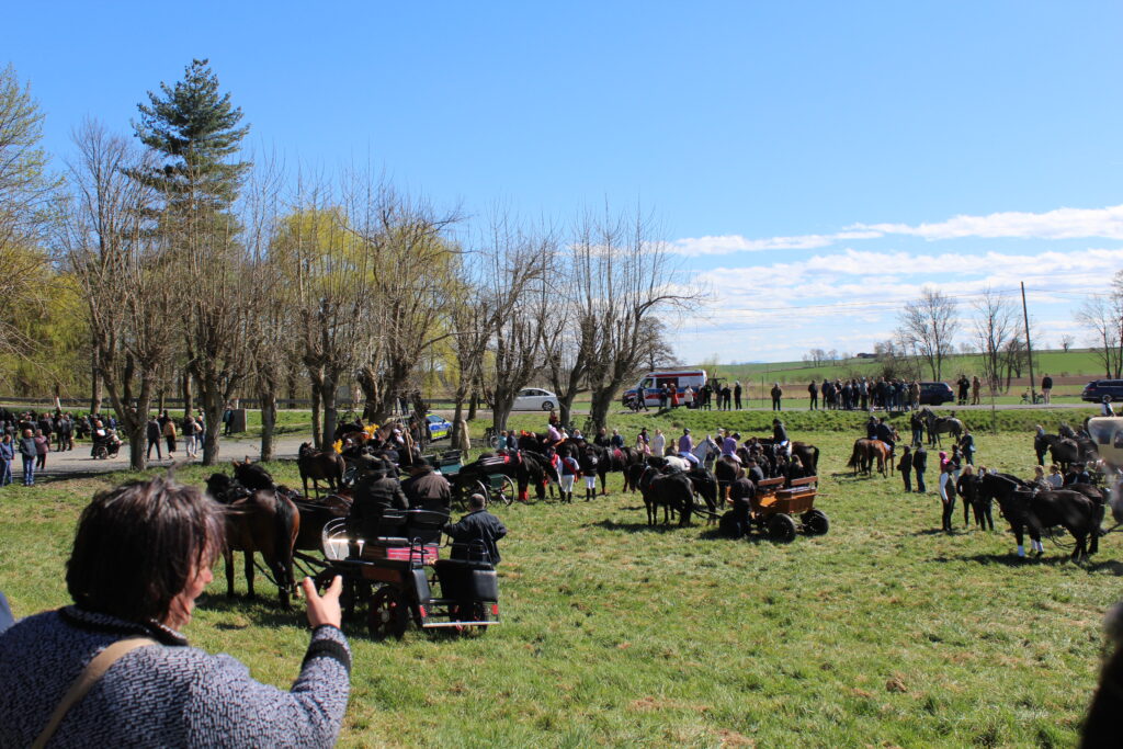 Procesja konna w Pietrowicach Wielkich - 2026 Vlog podróżniczy Steina
