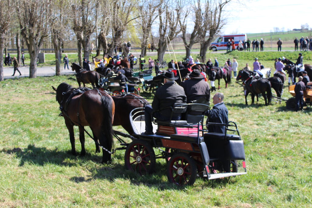 Procesja konna w Pietrowicach Wielkich - 2026 Vlog podróżniczy Steina