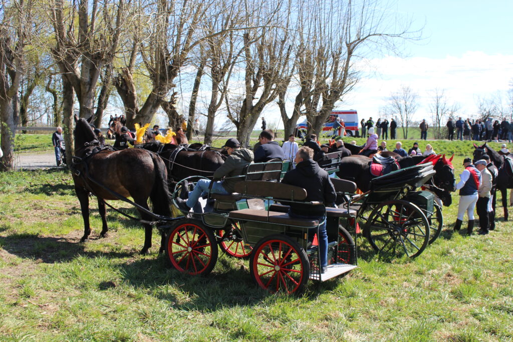 Procesja konna w Pietrowicach Wielkich - 2026 Vlog podróżniczy Steina