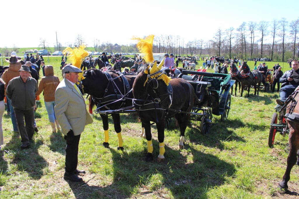 Procesja konna w Pietrowicach Wielkich - 2026 Vlog podróżniczy Steina