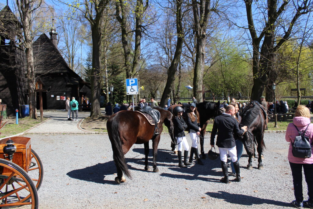 Procesja konna w Pietrowicach Wielkich - 2026 Vlog podróżniczy Steina