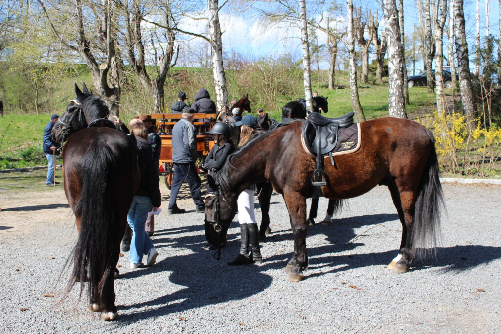 Procesja konna w Pietrowicach Wielkich - 2026 Vlog podróżniczy Steina