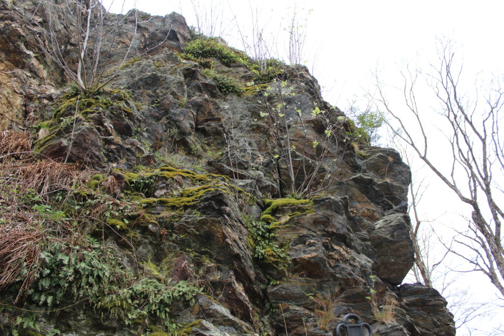 Szlag górski na Pricny Vrch najwyższy szczyt gór opawskich. Taborskie skały, Hornicke skały