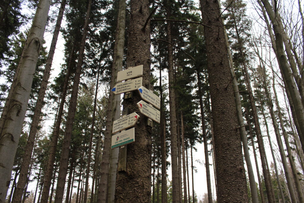 Szlag górski na Pricny Vrch najwyższy szczyt gór opawskich. Taborskie skały, Hornicke skały