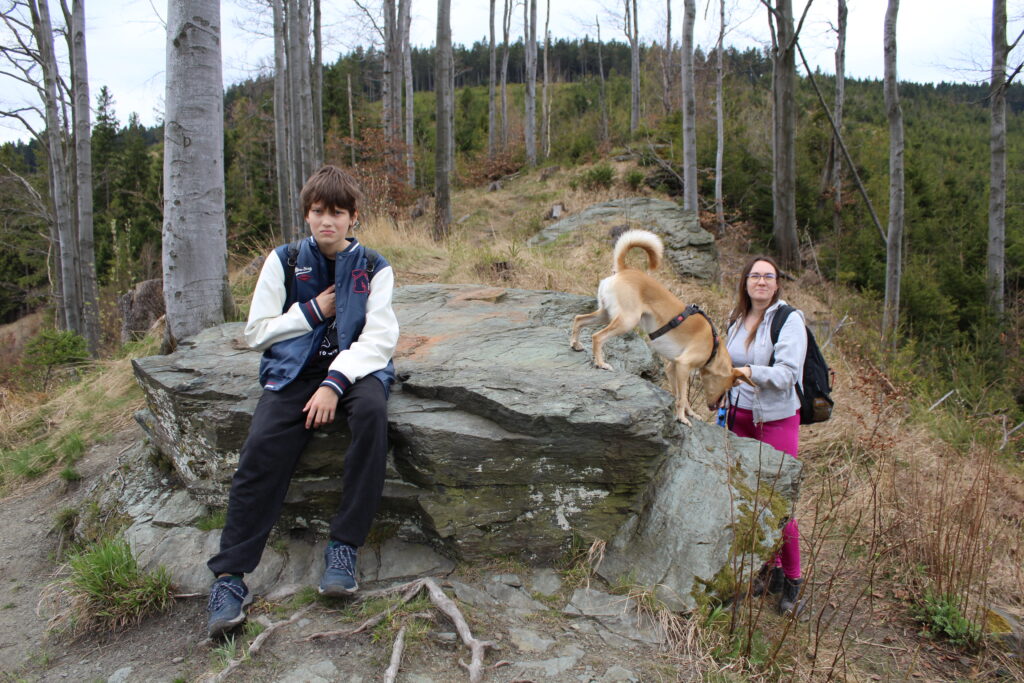 Szlag górski na Pricny Vrch najwyższy szczyt gór opawskich. Taborskie skały, Hornicke skały
