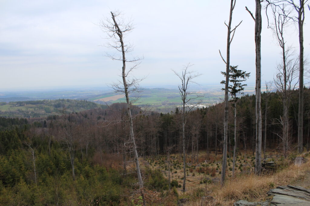 Szlag górski na Pricny Vrch najwyższy szczyt gór opawskich. Taborskie skały, Hornicke skały