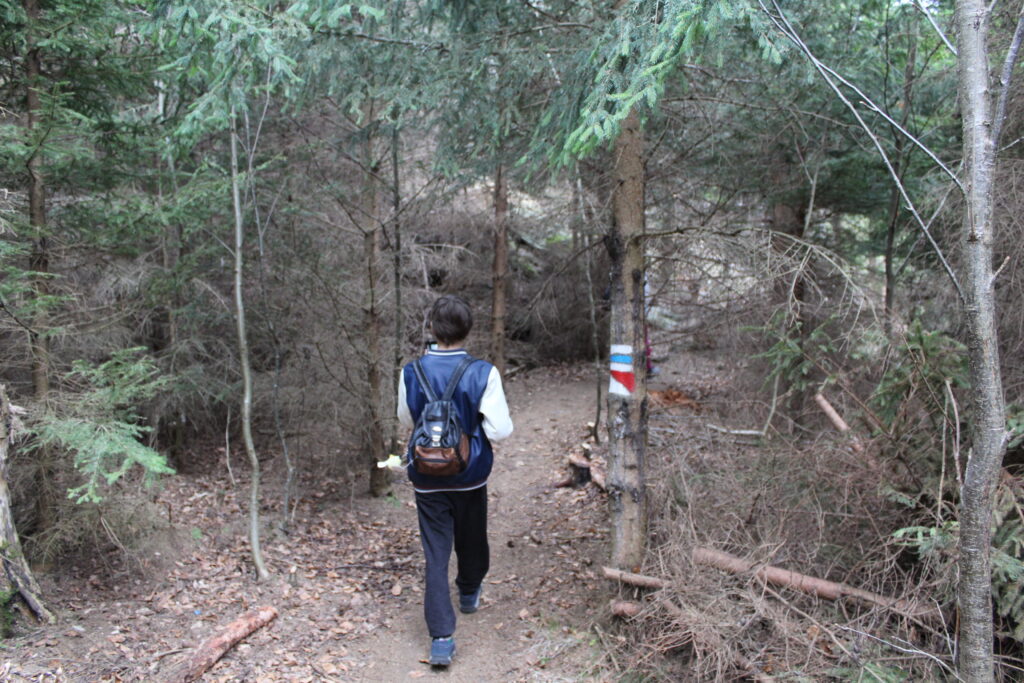 Szlag górski na Pricny Vrch najwyższy szczyt gór opawskich. Taborskie skały, Hornicke skały