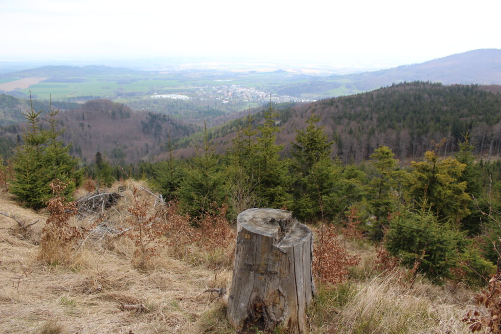 Szlag górski na Pricny Vrch najwyższy szczyt gór opawskich. Taborskie skały, Hornicke skały