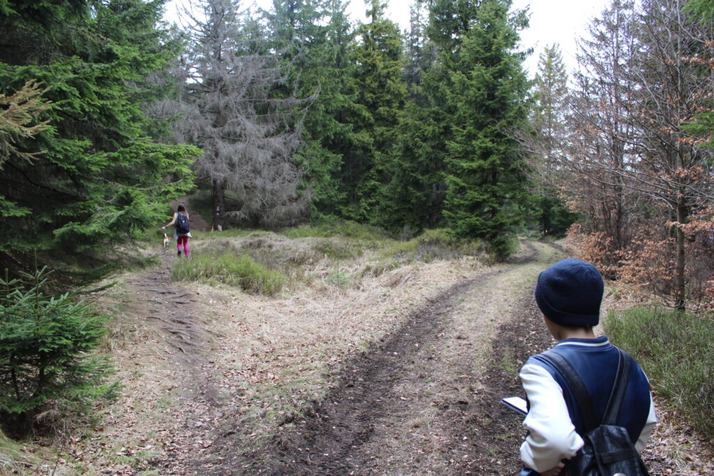 Szlag górski na Pricny Vrch najwyższy szczyt gór opawskich. Taborskie skały, Hornicke skały