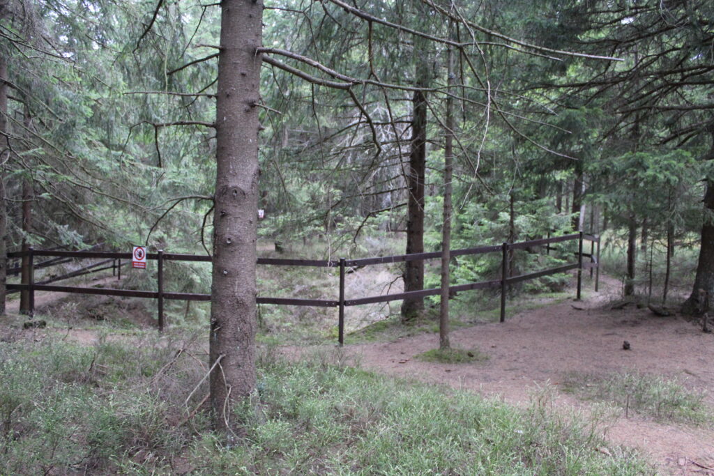 Szlag górski na Pricny Vrch najwyższy szczyt gór opawskich. Taborskie skały, Hornicke skały