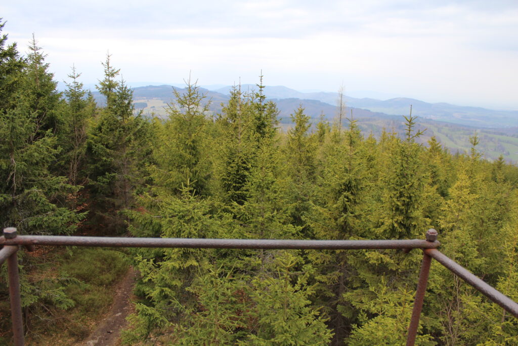 Szlag górski na Pricny Vrch najwyższy szczyt gór opawskich. Taborskie skały, Hornicke skały