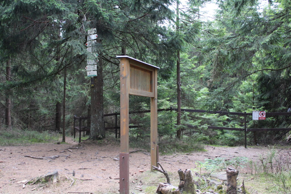 Szlag górski na Pricny Vrch najwyższy szczyt gór opawskich. Taborskie skały, Hornicke skały