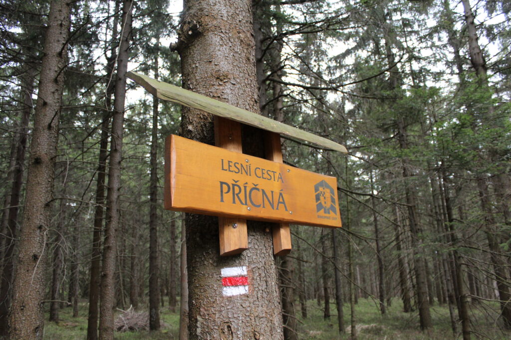 Szlag górski na Pricny Vrch najwyższy szczyt gór opawskich. Taborskie skały, Hornicke skały