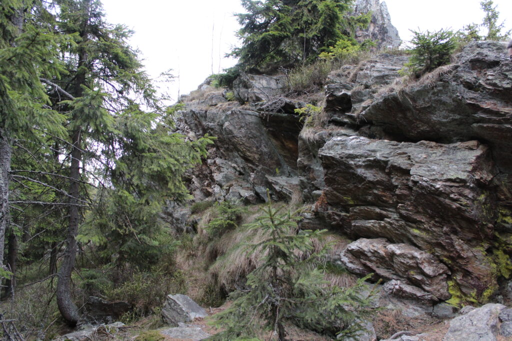 Szlag górski na Pricny Vrch najwyższy szczyt gór opawskich. Taborskie skały, Hornicke skały