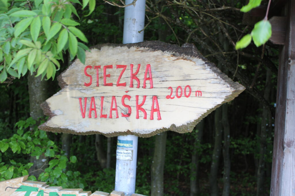 Stezka Valaška - Szlakiem w koronach drzew - Czechy i piękne kładki // Vlog Steina