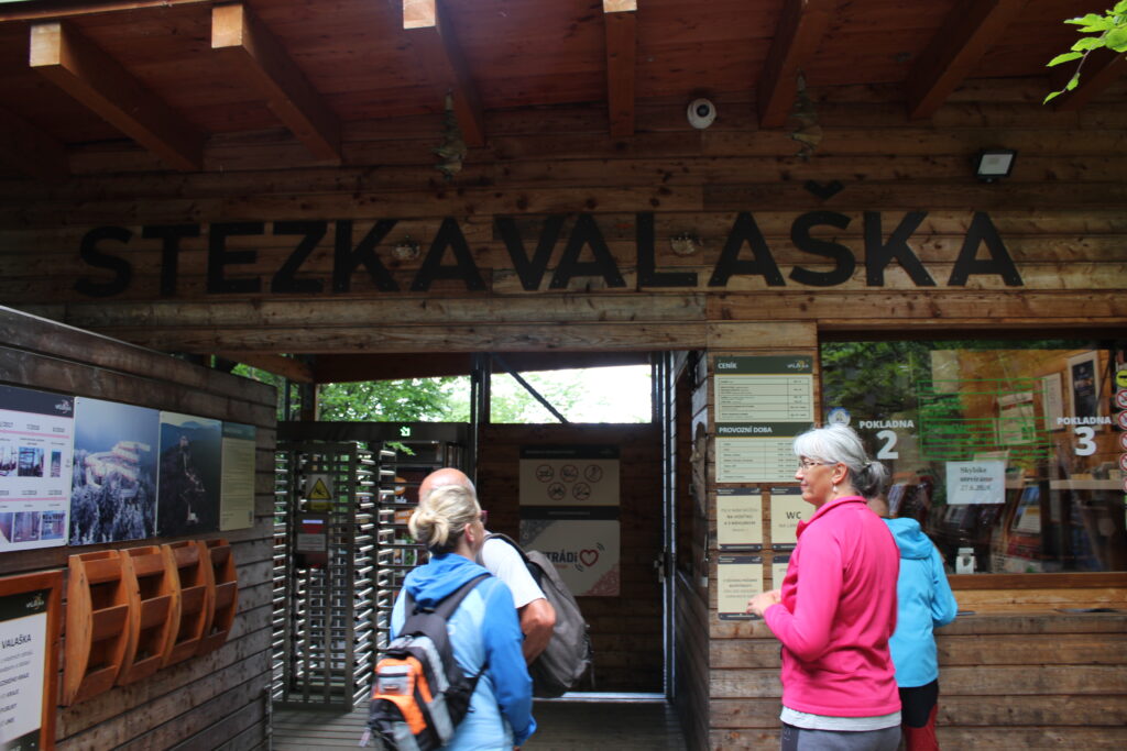 Stezka Valaška - Szlakiem w koronach drzew - Czechy i piękne kładki // Vlog Steina
