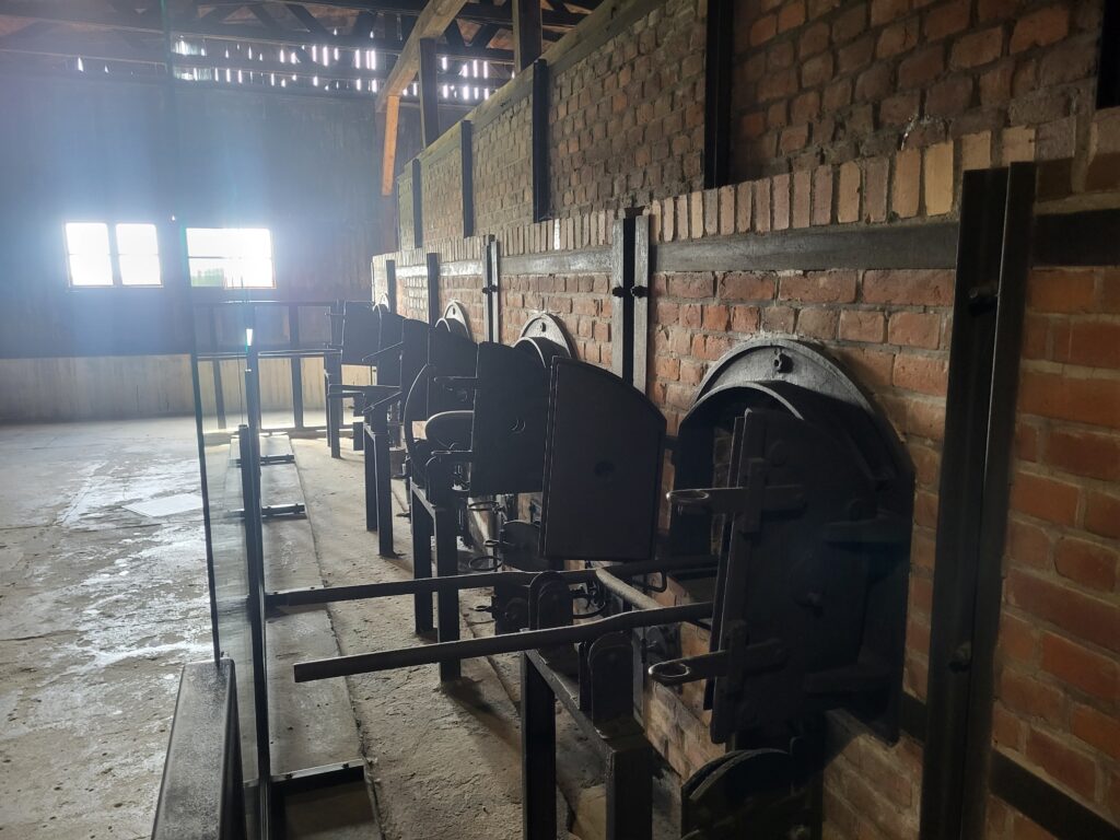 Obóz koncentracyjny Majdanek w Lublinie - Vlog Steina