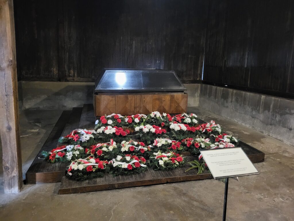 Obóz koncentracyjny Majdanek w Lublinie - Vlog Steina