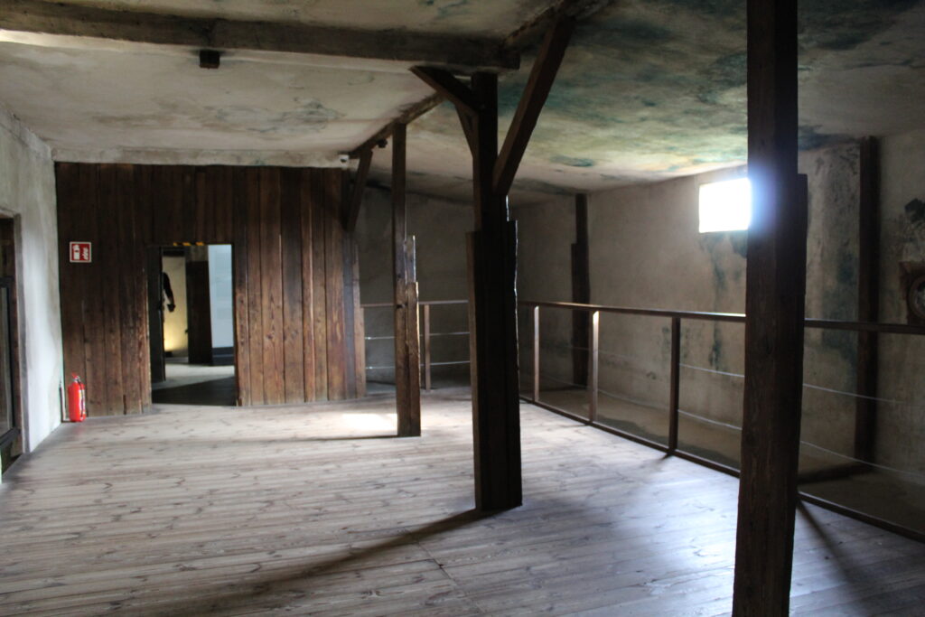 Obóz koncentracyjny Majdanek w Lublinie - Vlog Steina